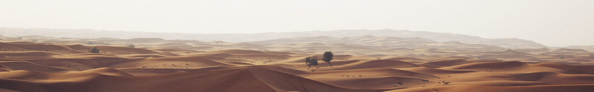 Ϻƽݹ޹˾